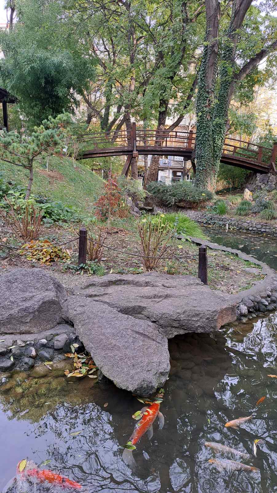 IMG-35e2b79bdc059e25649013a8e0f4477c-V