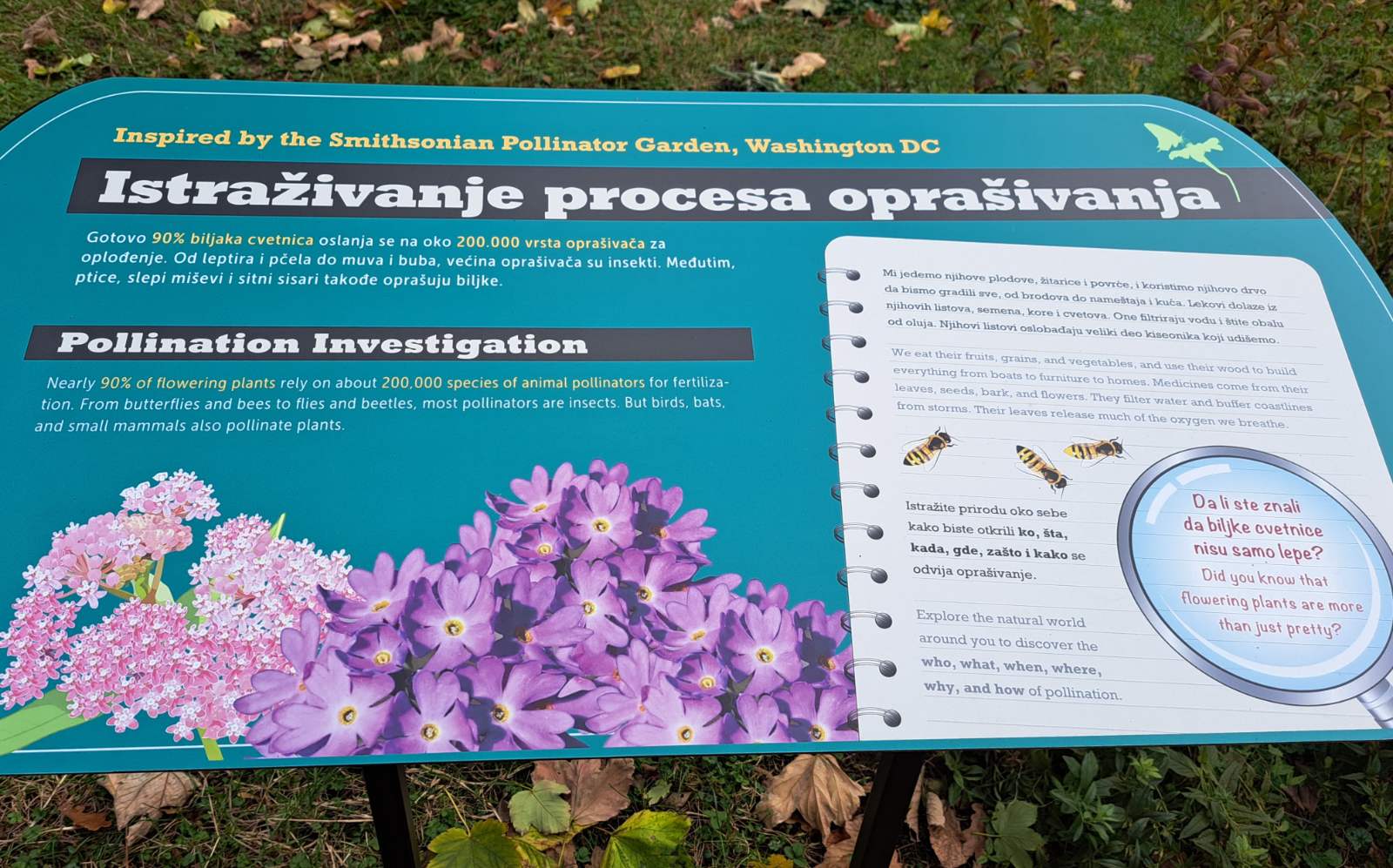 IMG-3bf643e49f519063a5cfd3fd0c4efcc4-V