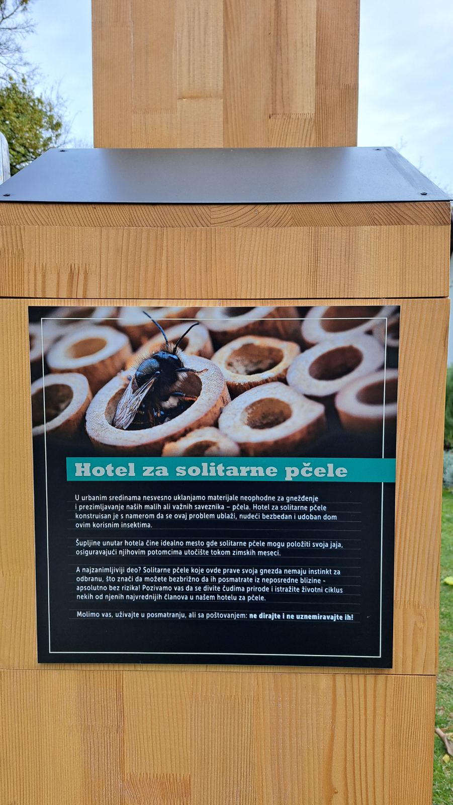 IMG-4a422e98b7d5c1369241f04790bbbe2e-V