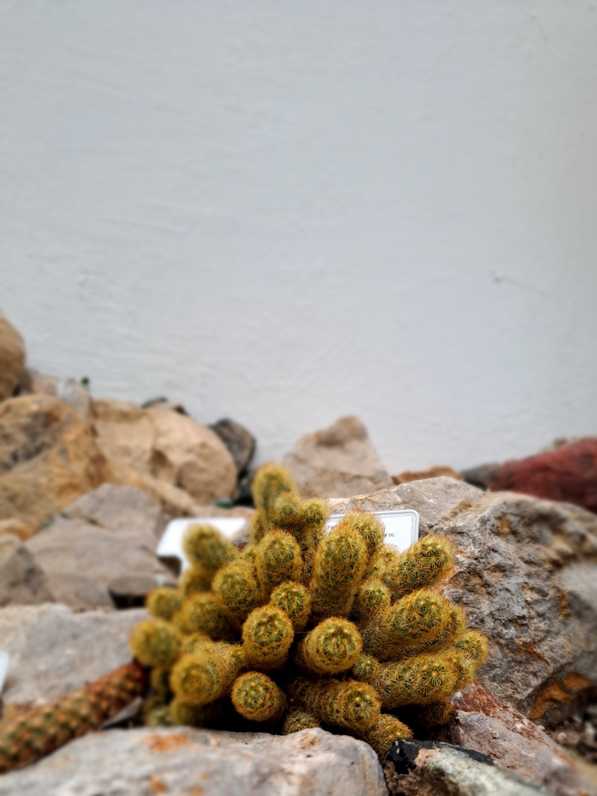 IMG-8c0e8620e3f172b14e3926964dd279bd-V