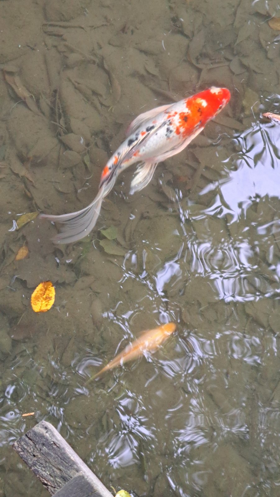 IMG-9a5ce4da5fbaf5938a888e88100a5a67-V