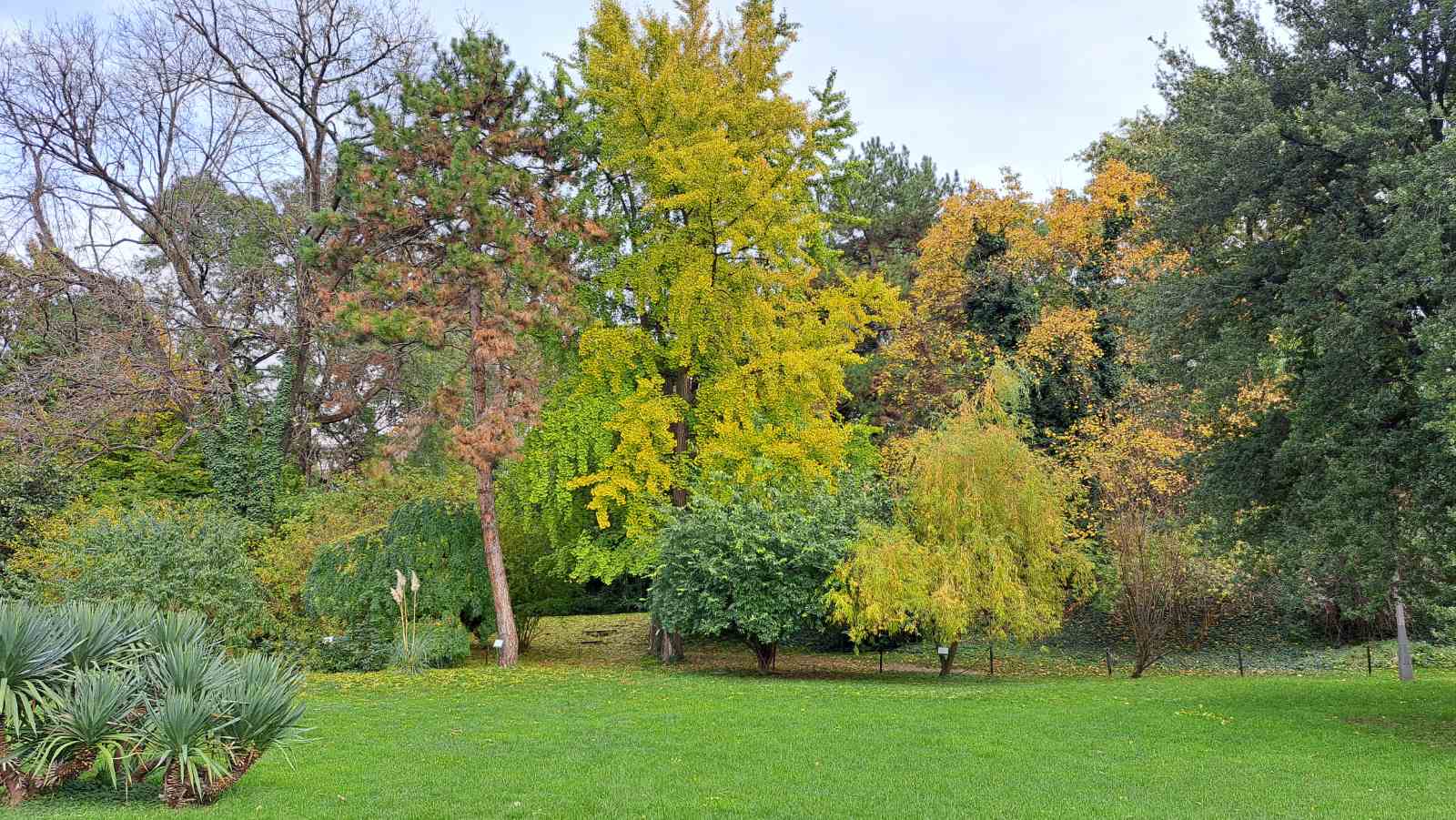 IMG-b20863474a51ce2a83821a0db26bcaf7-V