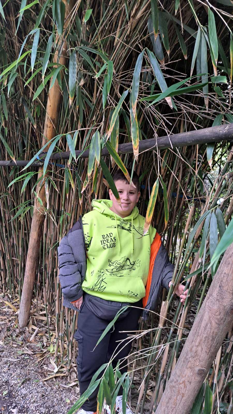 IMG-bd9acdace34a76a9b58031871dd42614-V