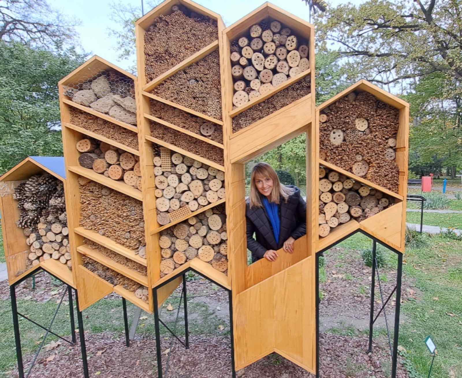 IMG-e1976cdee7508fbe63942369c8424a86-V