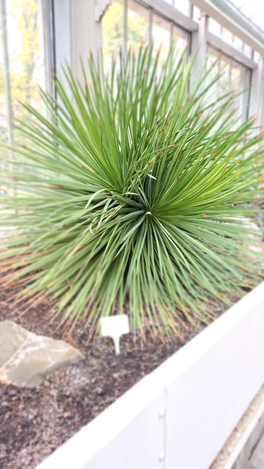 IMG-e75161e638f2a0009c47a0b42abebe2d-V