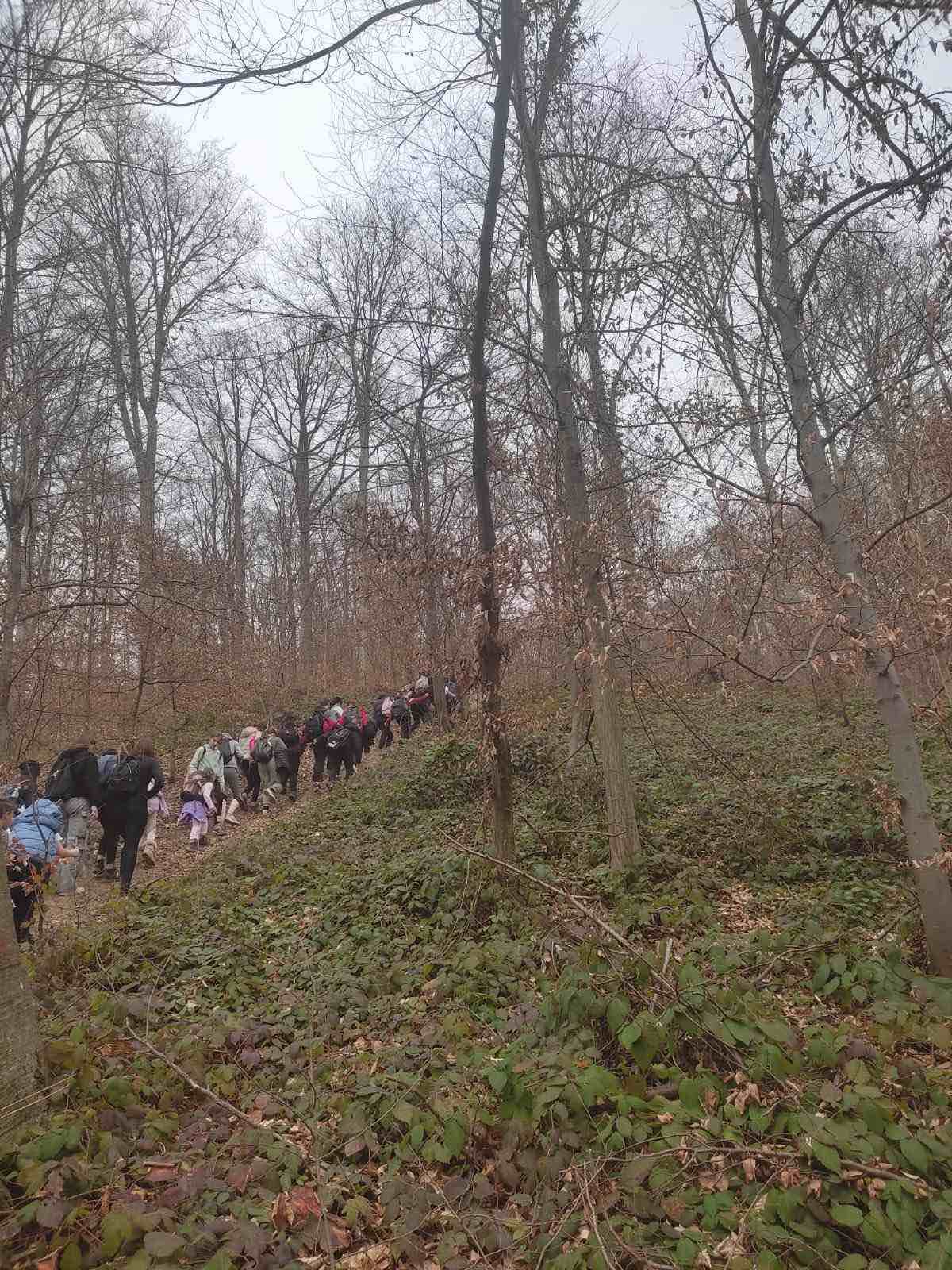 IMG-39d847fd1d1cf34e14f128d7e04ccd3d-V