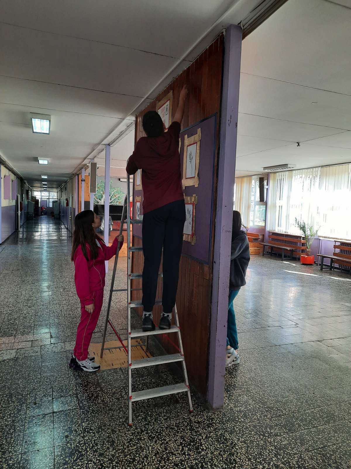 IMG-0ef7e60fb7b9ad11954cd68933d46bc5-V