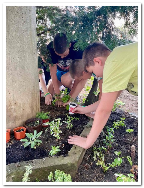 IMG-4416359c5e56b7c163ffa3af8689f3e0-V