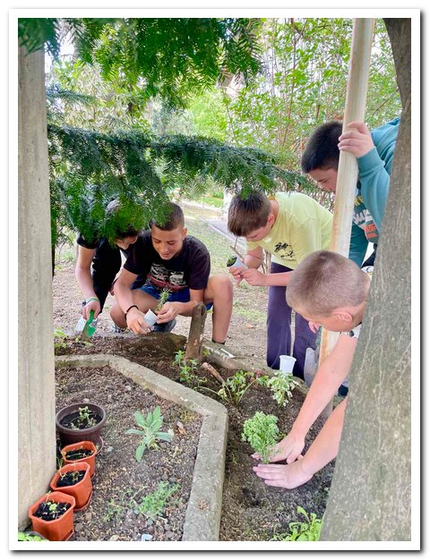 IMG-dca545087e3e9f817116ef13ac5385a6-V