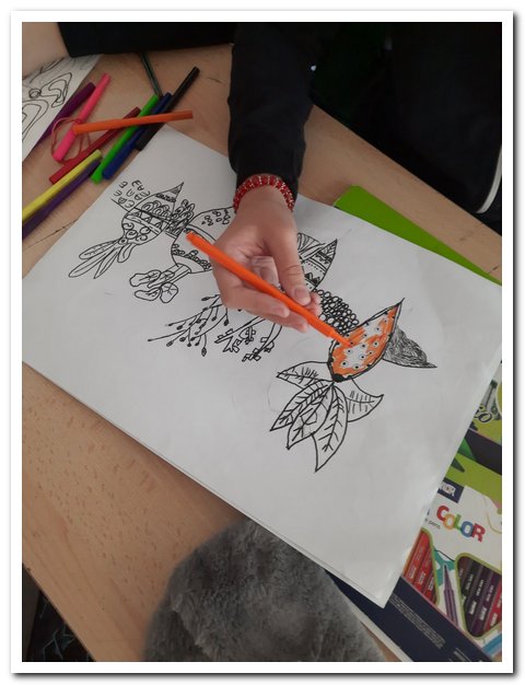 IMG-20cd61e91fbc82cc46387179769aca81-V