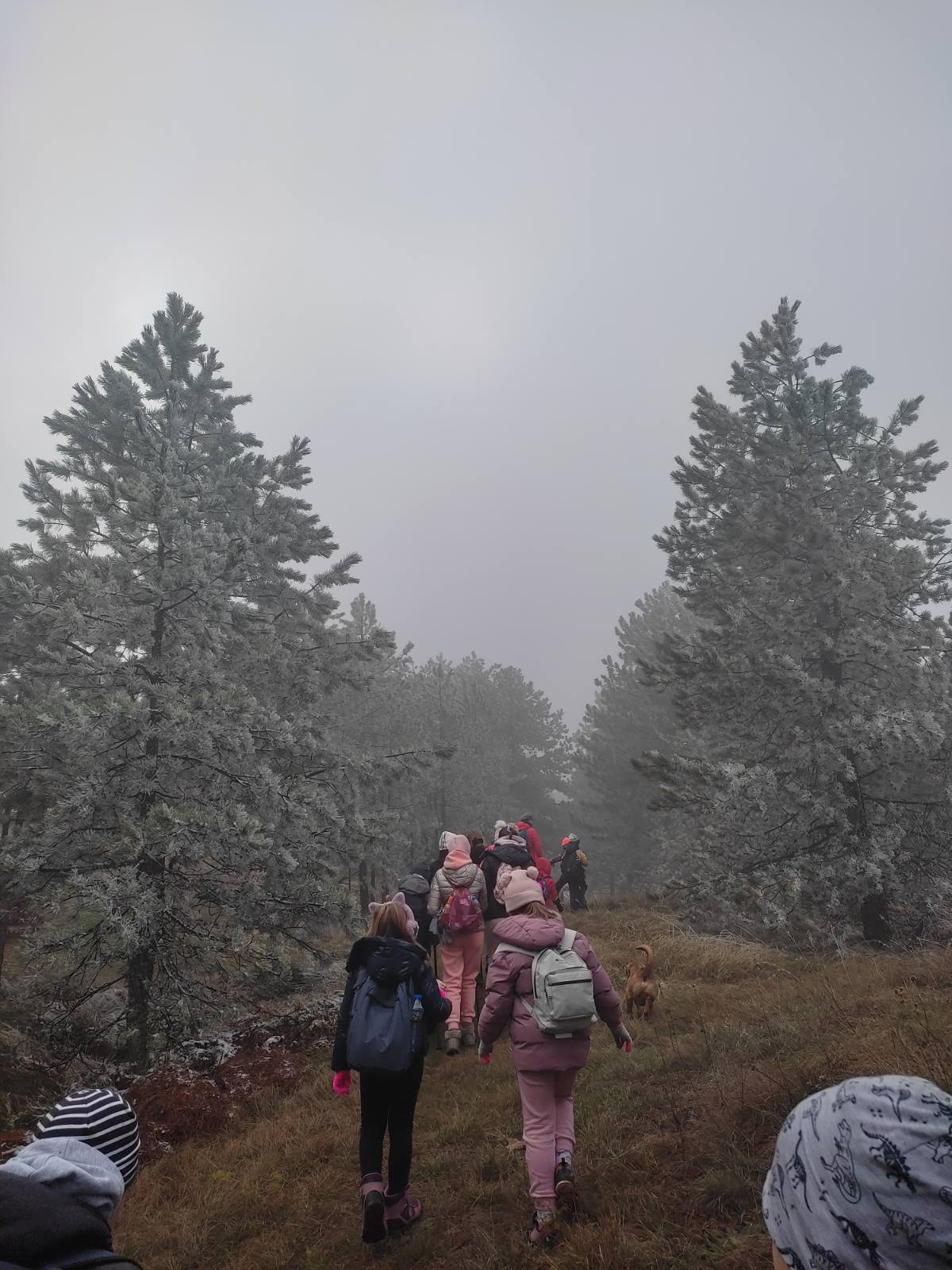 IMG-43ba50e43292f34b1d80af9d83172251-V