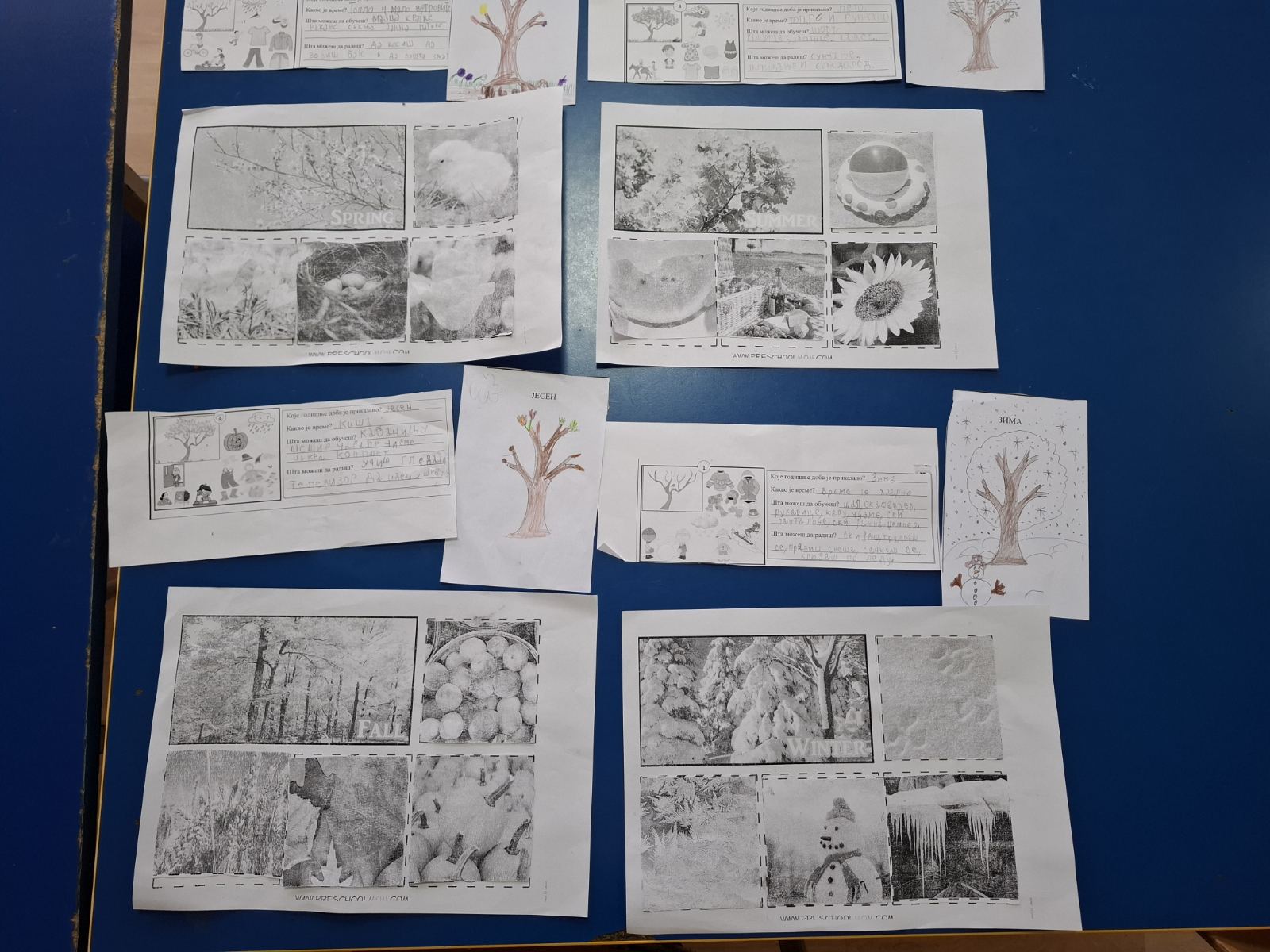 IMG-fdbc9bccfc415ad65f4ac73782c39314-V