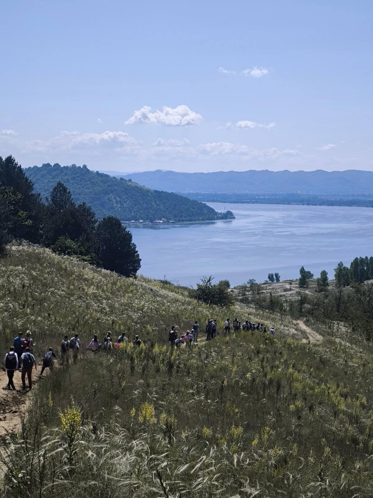 IMG-85408bb57234030f1e8cc2927f193063-V