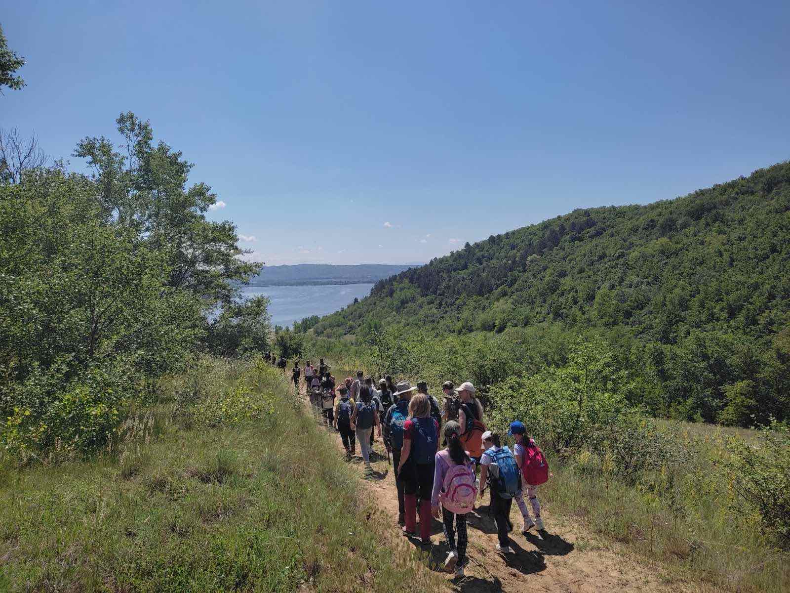 IMG-c48f84e456b2d434f0ea446152526be9-V